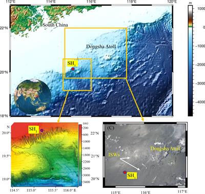 The impact of internal solitary waves on deep-sea benthic organisms on the continental slope of the northern South China Sea